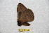  ( - BC-RBP 10091)  @12 [ ] Copyright (2016) Ron Brechlin Research Collection of Ron Brechlin