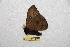  ( - BC-RBP 10097)  @12 [ ] Copyright (2016) Ron Brechlin Research Collection of Ron Brechlin