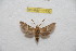  ( - BC-RBP 10130)  @13 [ ] Copyright (2016) Ron Brechlin Research Collection of Ron Brechlin