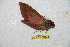  ( - BC-RBP 10138)  @12 [ ] Copyright (2016) Ron Brechlin Research Collection of Ron Brechlin