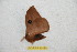  ( - BC-RBP 10198)  @12 [ ] Copyright (2016) Ron Brechlin Research Collection of Ron Brechlin
