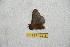  ( - BC-RBP 10216)  @11 [ ] Copyright (2016) Ron Brechlin Research Collection of Ron Brechlin