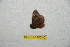  ( - BC-RBP 10240)  @13 [ ] Copyright (2016) Ron Brechlin Research Collection of Ron Brechlin