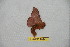  ( - BC-RBP 10244)  @12 [ ] Copyright (2016) Ron Brechlin Research Collection of Ron Brechlin