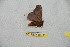  ( - BC-RBP 10245)  @12 [ ] Copyright (2016) Ron Brechlin Research Collection of Ron Brechlin