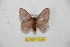  ( - BC-RBP 10246)  @13 [ ] Copyright (2016) Ron Brechlin Research Collection of Ron Brechlin