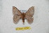  ( - BC-RBP 10247)  @13 [ ] Copyright (2016) Ron Brechlin Research Collection of Ron Brechlin