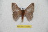  ( - BC-RBP 10248)  @14 [ ] Copyright (2016) Ron Brechlin Research Collection of Ron Brechlin