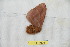  ( - BC-RBP 10251)  @12 [ ] Copyright (2016) Ron Brechlin Research Collection of Ron Brechlin