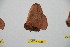  ( - BC-RBP 10254)  @12 [ ] Copyright (2016) Ron Brechlin Research Collection of Ron Brechlin