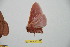  ( - BC-RBP 10255)  @13 [ ] Copyright (2016) Ron Brechlin Research Collection of Ron Brechlin