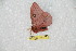  ( - BC-RBP 10265)  @12 [ ] Copyright (2016) Ron Brechlin Research Collection of Ron Brechlin