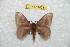  ( - BC-RBP 10281)  @13 [ ] Copyright (2016) Ron Brechlin Research Collection of Ron Brechlin