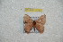  ( - BC-RBP 10293)  @13 [ ] Copyright (2016) Ron Brechlin Research Collection of Ron Brechlin