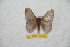  ( - BC-RBP 10299)  @11 [ ] Copyright (2016) Ron Brechlin Research Collection of Ron Brechlin