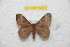  ( - BC-RBP 10317)  @13 [ ] Copyright (2016) Ron Brechlin Research Collection of Ron Brechlin