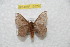  ( - BC-RBP 10329)  @13 [ ] Copyright (2016) Ron Brechlin Research Collection of Ron Brechlin