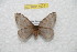  ( - BC-RBP 10331)  @11 [ ] Copyright (2016) Ron Brechlin Research Collection of Ron Brechlin