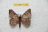  ( - BC-RBP 10346)  @14 [ ] Copyright (2016) Ron Brechlin Research Collection of Ron Brechlin