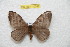  ( - BC-RBP 10347)  @14 [ ] Copyright (2016) Ron Brechlin Research Collection of Ron Brechlin
