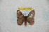  ( - BC-RBP 10350)  @11 [ ] Copyright (2017) Ron Brechlin Research Collection of Ron Brechlin