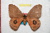  ( - BC-RBP 10394)  @13 [ ] Copyright (2017) Ron Brechlin Research Collection of Ron Brechlin