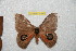  ( - BC-RBP 10396)  @13 [ ] Copyright (2017) Ron Brechlin Research Collection of Ron Brechlin