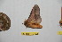  ( - BC-RBP 10432)  @11 [ ] Copyright (2017) Ron Brechlin Research Collection of Ron Brechlin