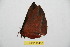  ( - BC-RBP 10438)  @12 [ ] Copyright (2017) Ron Brechlin Research Collection of Ron Brechlin