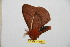  ( - BC-RBP 10441)  @13 [ ] Copyright (2017) Ron Brechlin Research Collection of Ron Brechlin