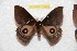  ( - BC-RBP 10460)  @13 [ ] Copyright (2017) Ron Brechlin Research Collection of Ron Brechlin