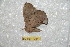  ( - BC-RBP-13114)  @11 [ ] copyright (2025) Ron Brechlin Research Collection of Ron Brechlin