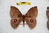  ( - BC-RBP 11357)  @12 [ ] Copyright (2019) Ron Brechlin Research Collection of Ron Brechlin