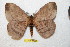  ( - BC-RBP 11373)  @13 [ ] Copyright (2019) Ron Brechlin Research Collection of Ron Brechlin