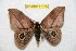  ( - BC-RBP 11378)  @13 [ ] Copyright (2019) Ron Brechlin Research Collection of Ron Brechlin