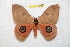  ( - BC-RBP 11385)  @11 [ ] Copyright (2019) Ron Brechlin Research Collection of Ron Brechlin