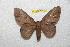  ( - BC-RBP 11413)  @13 [ ] Copyright (2019) Ron Brechlin Research Collection of Ron Brechlin