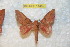  ( - BC-RBP 11459)  @11 [ ] Copyright (2019) Ron Brechlin Research Collection of Ron Brechlin