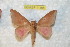  ( - BC-RBP 11468)  @11 [ ] Copyright (2019) Ron Brechlin Research Collection of Ron Brechlin