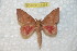  ( - BC-RBP 11469)  @11 [ ] Copyright (2019) Ron Brechlin Research Collection of Ron Brechlin