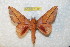  ( - BC-RBP 11481)  @11 [ ] Copyright (2019) Ron Brechlin Research Collection of Ron Brechlin