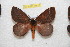  ( - BC-RBP 11515)  @11 [ ] Copyright (2019) Ron Brechlin Research Collection of Ron Brechlin