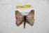 ( - BC-RBP 11539)  @11 [ ] Copyright (2019) Ron Brechlin Research Collection of Ron Brechlin