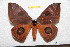  ( - BC-RBP 11578)  @11 [ ] Copyright (2019) Ron Brechlin Research Collection of Ron Brechlin