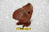  ( - BC-RBP 7533)  @12 [ ] Copyright (2013) Ron Brechlin coll. Ron Brechlin, Pasewalk