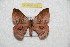  (Hylesia latigra - BC-RBP 7631)  @13 [ ] Copyright (2013) Ron Brechlin coll. Ron Brechlin, Pasewalk