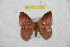  ( - BC-RBP 7633)  @14 [ ] Copyright (2013) Ron Brechlin coll. Ron Brechlin, Pasewalk