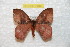  ( - BC-RBP 7700)  @13 [ ] Copyright (2013) Ron Brechlin coll. Ron Brechlin, Pasewalk