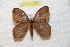  ( - BC-RBP 7701)  @13 [ ] Copyright (2013) Ron Brechlin coll. Ron Brechlin, Pasewalk
