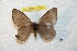  ( - BC-RBP 7754)  @13 [ ] Copyright (2013) Ron Brechlin coll. Ron Brechlin, Pasewalk